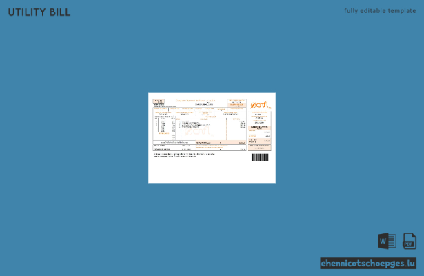 Costa Rica National Power and Light Company, S.A. CNFL – Beispielrechnung (Vorschau)